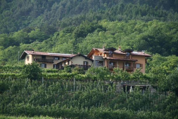 Agritur Le Pergole Hotel Villa Lagarina Exterior photo